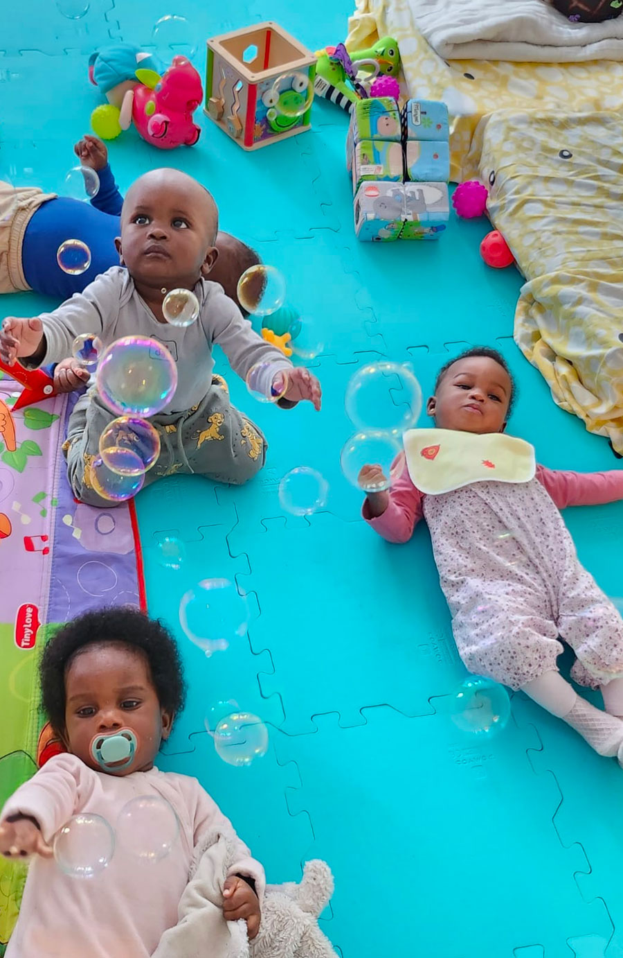 Le Samely bébés